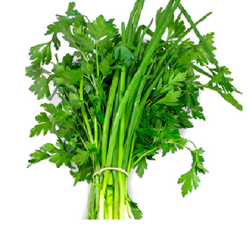  Cheiro Verde Buriti
